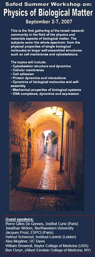 Safed Summer Workshop Poster 2007: Physics of Biological Matter